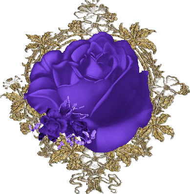 roza, rozyczka - roza koronka fioletowa.png