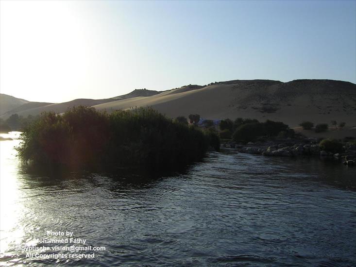 Przyroda - Przyroda w Aswan 473.jpg