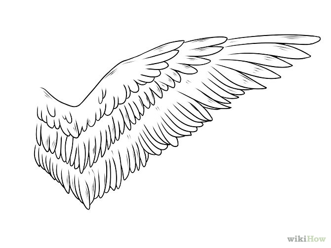 Skrzydla, Wings - 670px-Draw-Angel-Wings-Step-6.jpg