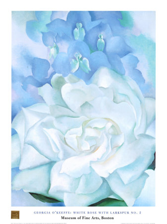 OKeeffe Georgia Totto 1887 - 1986 - White Rose with Lakspur No. 2.jpg
