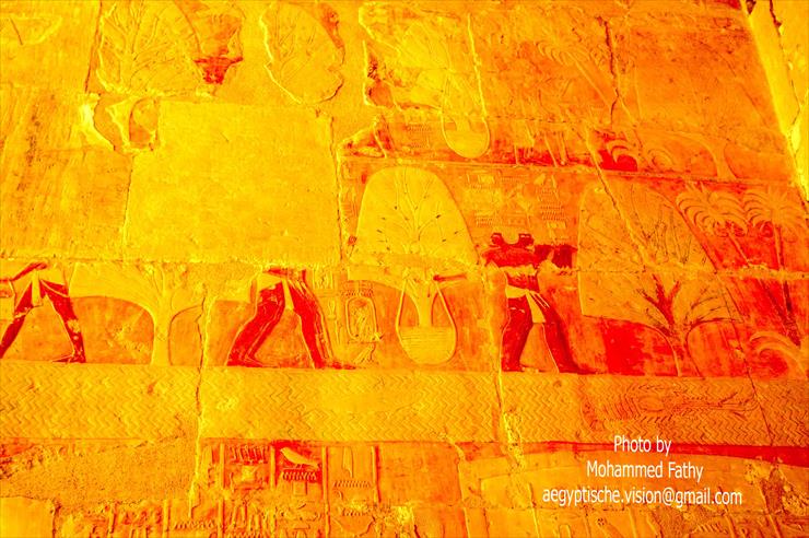 Świątynia w Hatshepsut - Świątynia w Hatshepsut 148.jpg