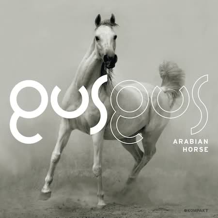 gus gus - arabian horse 2011 - folder.jpg