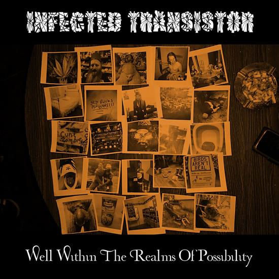 Infected Transistor - Well Within the Realms of Possibility 2019 - cover.png