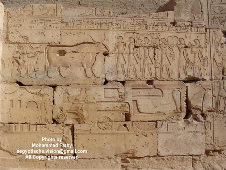 Świątynia w Ramses II - Świątynia w Ramses II 8.jpg