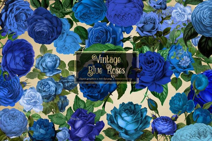 Rose - Vintage Blue Roses.jpg