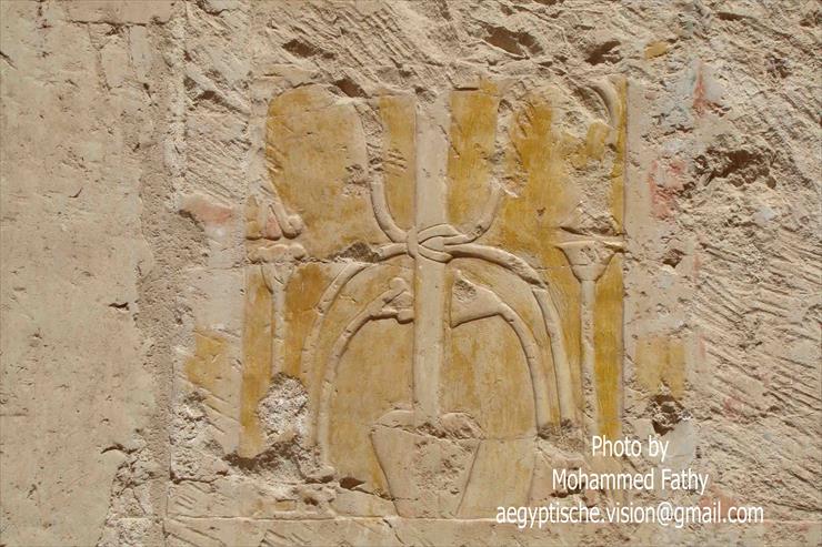 Świątynia w Hatshepsut - Świątynia w Hatshepsut 11.jpg
