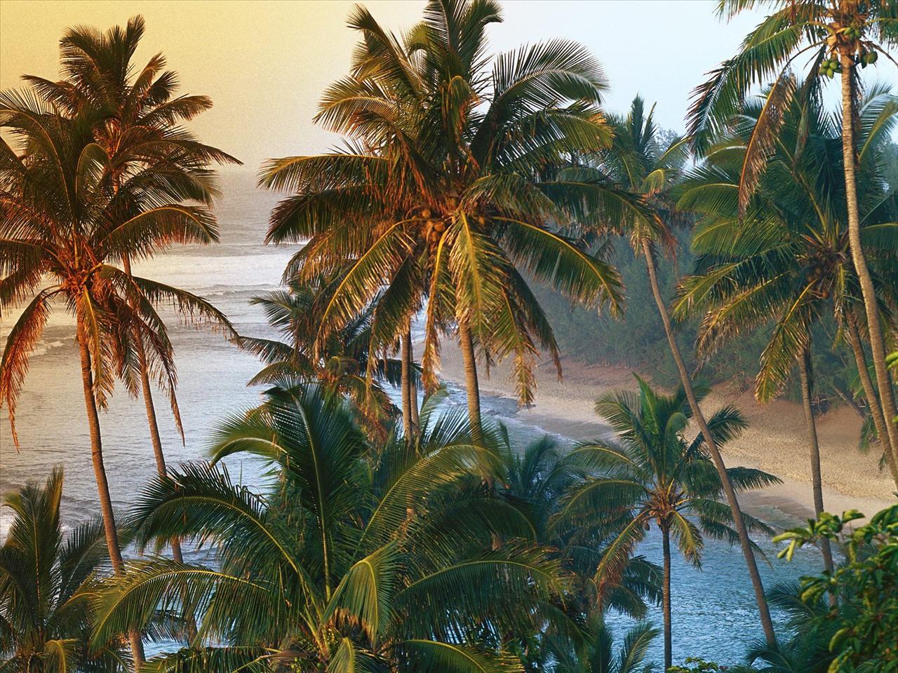 Widoki egzotyczne - Na_Pali_Coast,_Kauai,_Hawaii.jpg