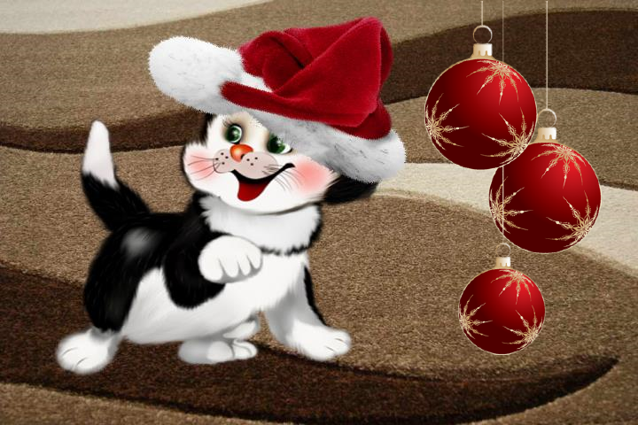 Tapety - Kot w kapeluszu  - seria - Tapeta  świąteczna.png