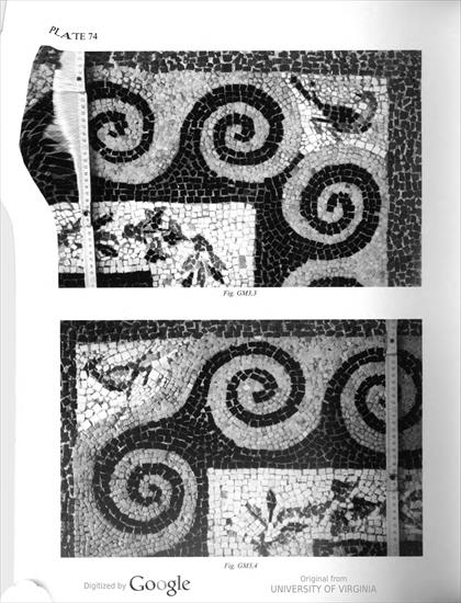 by Antero Tammisto Birds in mosaics a study on the re... - 0622.jpg